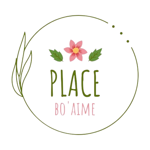 Place Bo'Aime